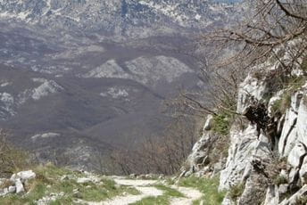 Planinari i vatrogasci spasili sugrađanku iz 50 metara duboke provalije na Orjenu Planinari i vatrogasci spasili sugrađanku iz 50 metara duboke provalije na Orjenu