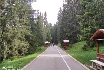 Na Žabljaku i do 90 odsto manje turista Na Žabljaku i do 90 odsto manje turista