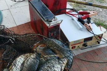 Jutros spriječen izlov ribe električnom energijom na Skadarskom jezeru Jutros spriječen izlov ribe električnom energijom na Skadarskom jezeru