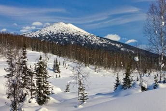 U Sibiru zabilježeno rekordnih 38 stepeni U Sibiru zabilježeno rekordnih 38 stepeni