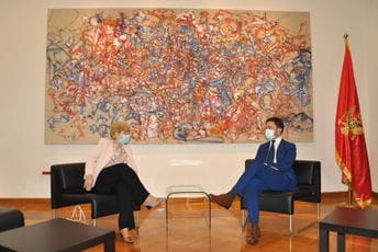 Ministarstvo kulture: Intenzivirati saradnju nakon pandemije Ministarstvo kulture: Intenzivirati saradnju nakon pandemije