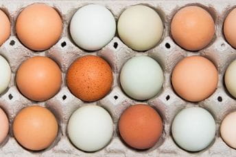 Novo poskupljenje: Na red došla i jaja, cijene će biti veće od ove ili od početka naredne sedmice