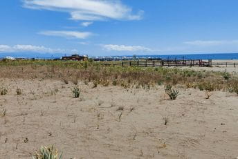 Na Velikoj plaži pronađen muški leš u fazi raspadanja Ilustracija