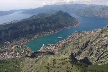 Čuh đe gore među sobom vode razgovore Ilustracija