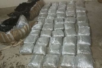 Pali dileri u Nikšiću: Pronađena marihuana spremna za uličnu prodaju Ilustracija