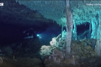 (VIDEO) Meksiko: Očaravajuća podvodna pećina otkriva drevne tajne (VIDEO) Meksiko: Očaravajuća podvodna pećina otkriva drevne tajne