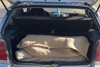 Uhapšen Podgoričanin kod kojeg je pronađeno 30 kilograma marihuane Uhapšen Podgoričanin kod kojeg je pronađeno 30 kilograma marihuane