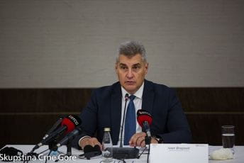 Brajović: Oni koji imaju primjedbe na postojeće zakone, ustvari ne žele da ih mijenjaju Brajović: Oni koji imaju primjedbe na postojeće zakone, ustvari ne žele da ih mijenjaju