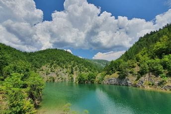 Pogledajte kako riba zarobljena na mamcu pokušava da se oslobodi Pogledajte kako riba zarobljena na mamcu pokušava da se oslobodi