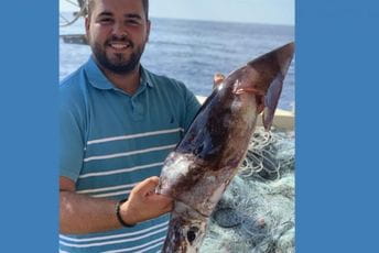 Lignja kapitalac u mreži Boška i Nikole Lignja kapitalac u mreži Boška i Nikole