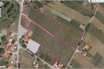 Isplaćeno 575 hiljada eura za 1.862 poljoprivrednika Isplaćeno 575 hiljada eura za 1.862 poljoprivrednika