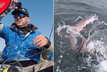 Džinovska skuša ubila ribara Džinovska skuša ubila ribara