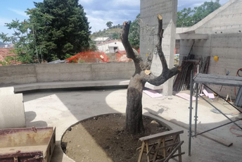 Vlada Crne Gore investirala milion eura za kvalitetnije uslove rada maslinara Vlada Crne Gore investirala milion eura za kvalitetnije uslove rada maslinara