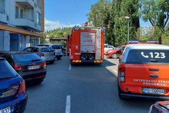 Podgorica: Kućni ljubimac stradao u požaru Podgorica: Kućni ljubimac stradao u požaru