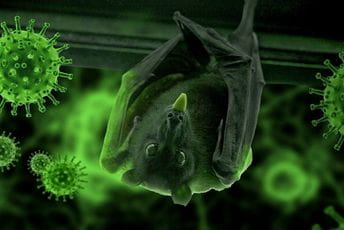 Korona nastala u kineskom rudniku prije osam godina? Korona nastala u kineskom rudniku prije osam godina?