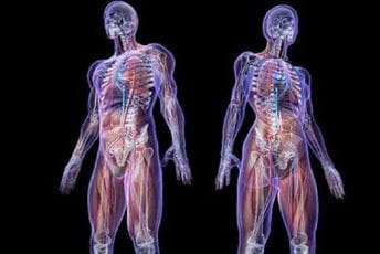 Naučnici pronašli plastiku u ljudskim plućima, jetri i bubrezima Naučnici pronašli plastiku u ljudskim plućima, jetri i bubrezima