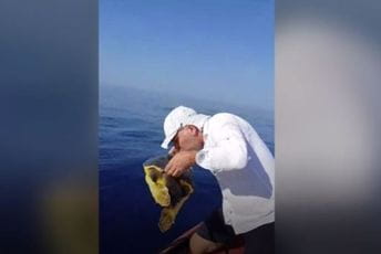 Posada iz Kotora spasila kornjaču: Poljubili je i vratili u more Posada iz Kotora spasila kornjaču: Poljubili je i vratili u more