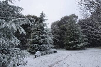 Snijeg pao u Australiji, građani oduševljeni Snijeg pao u Australiji, građani oduševljeni