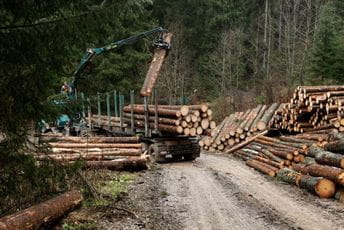 Uprava za gazdovanje šumama i lovištima poručila drvoprerađivačima: Javni poziv pruža šansu svima Ilustracija