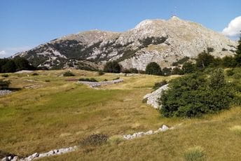 LOVĆENSKI MEDALJONI: Planinski obronci na Kuku