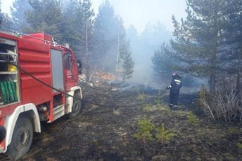 Vatrogasci traže povoljnije uslove za penzionisanje i strože kazne za piromane Ilustracija
