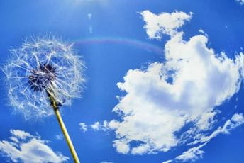 Svaki deseti stanovnik planete udiše čist vazduh, u Crnoj Gori svaki četvrti Svaki deseti stanovnik planete udiše čist vazduh, u Crnoj Gori svaki četvrti