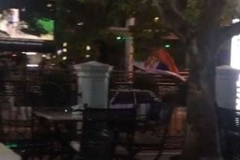 Despotović: Crna Gora i Albanci Despotović: Crna Gora i Albanci