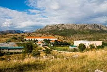 Javna ustanova na Kakarickoj gori organizovala Sportski dan Ustanova na Kakarickoj gori