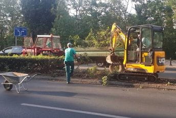 Novo zelenilo duž Bulevara Svetog Petra Cetinjskog Novo zelenilo duž Bulevara Svetog Petra Cetinjskog