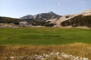 Usvojena Uredba koja omogućava raspisivanje javnog poziva za podršku razvoju ruralnom turizmu Usvojena Uredba koja omogućava raspisivanje javnog poziva za podršku razvoju ruralnom turizmu