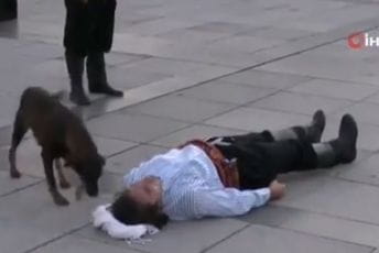 Glumac pao na zemlju povrijeđen, a onda je uslijedila scena koja je sve raznježila: Ulični pas prišao da mu pomogne i pomutio scenario
