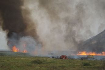 MUP: Ako bude potrebe tražićemo pomoć EU i NATO u borbi sa požarima Ilustracija