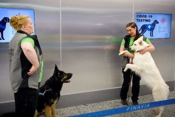 Novo oružje protiv zaraze: Finska na aerodrome poslala dresirane pse koji mogu nanjušiti covid