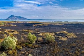 Požar na Skadarskom jezeru: Za oporavak eko-sistema će trebati godine Dio NP zahvaćen požarom