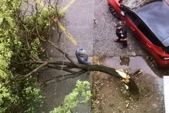 (FOTO) Nevrijeme u Podgorici lomilo stabla (FOTO) Nevrijeme u Podgorici lomilo stabla