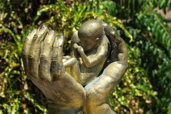 CAZAS: Godišnje 1.400 abortusa, većina namjernih CAZAS: Godišnje 1.400 abortusa, većina namjernih