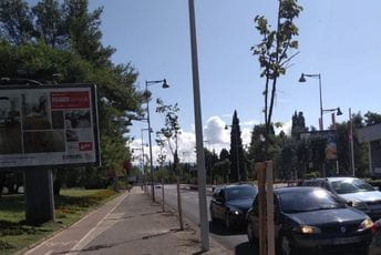 Novi drvored na Bulevaru Svetog Petra Cetinjskog Novi drvored na Bulevaru Svetog Petra Cetinjskog