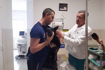 Danas je Svjetski dan borbe protiv bjesnila: CG uspješna u iskorjenjivanju ove smrtonosne bolesti Danas je Svjetski dan borbe protiv bjesnila: CG uspješna u iskorjenjivanju ove smrtonosne bolesti