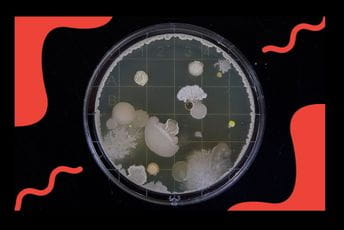Novi načini učenja biologije Novi načini učenja biologije
