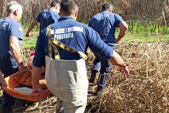 Povrijeđen muškarac: Na Plavnici se obrušilo stablo na čovjeka Povrijeđen muškarac: Na Plavnici se obrušilo stablo na čovjeka