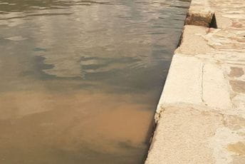 Ekološki incident u Donjoj Lastvi More u Donjoj Lastvi danas