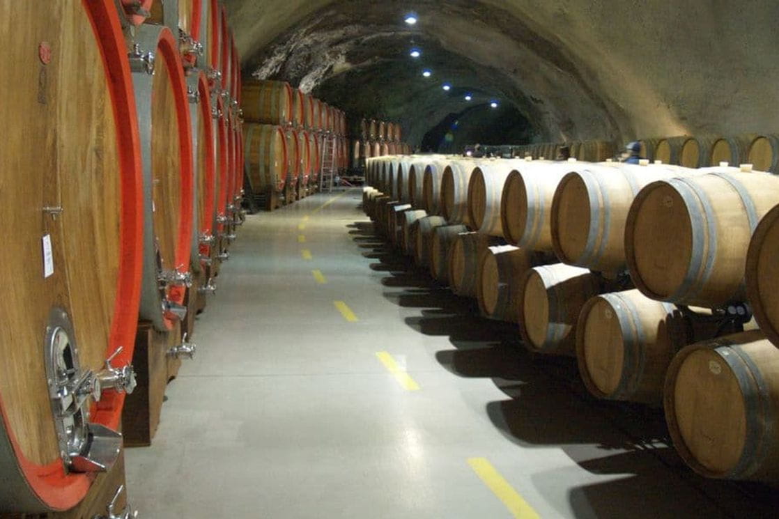 Plantaže ostvarile dobit u 2025, evo i koliko