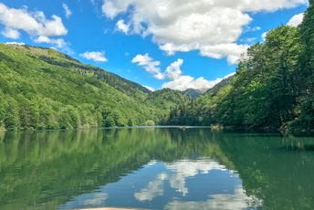 Zaštićena vrsta: Na Biogradskoj gori ubijen jelen Zaštićena vrsta: Na Biogradskoj gori ubijen jelen