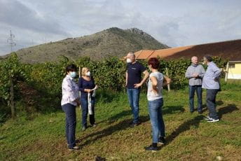 U vinogradima Univerziteta Crne Gore simbolično obilježen završetak berbe grožđa U vinogradima Univerziteta Crne Gore simbolično obilježen završetak berbe grožđa