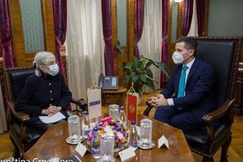 Davije: OEBS spreman da nastavi sa podrškom Skupštini Davije: OEBS spreman da nastavi sa podrškom Skupštini