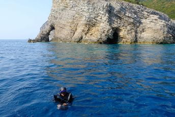 Crnogorsko društvo ekologa: Krnja golema postala je jako rijetka u našem moru Crnogorsko društvo ekologa: Krnja golema postala je jako rijetka u našem moru