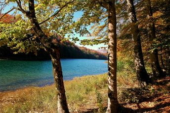 NP Biogradska gora od sjutra otvorena za posjetioce NP Biogradska gora od sjutra otvorena za posjetioce