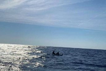 Kako su se Ukrajinci našli u malom gumenom čamcu 13 nautičkih milja od obale? Kako su se Ukrajinci našli u malom gumenom čamcu 13 nautičkih milja od obale?