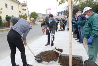 Sadnjom kestena simbolično obilježena globalna kampanja mjeseca borbe protiv karcinoma dojke