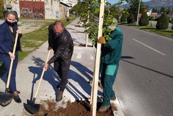 Podgorica bogatija za novi drvored
